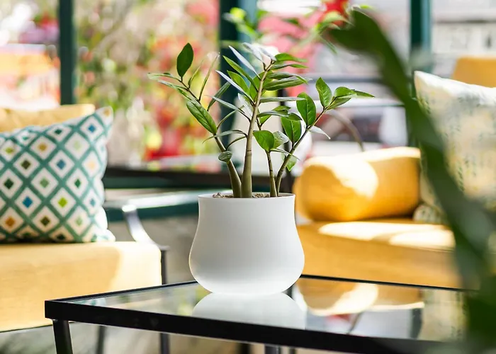 Hovima Panorama Hotel Costa Adeje (Tenerife)