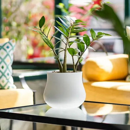 Hovima Panorama מלון אדחה